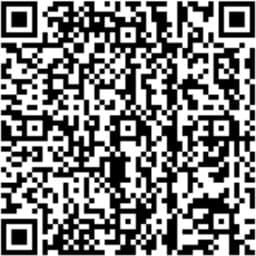 Pix QR Code