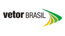 Logo Colorida Vetor Brasil