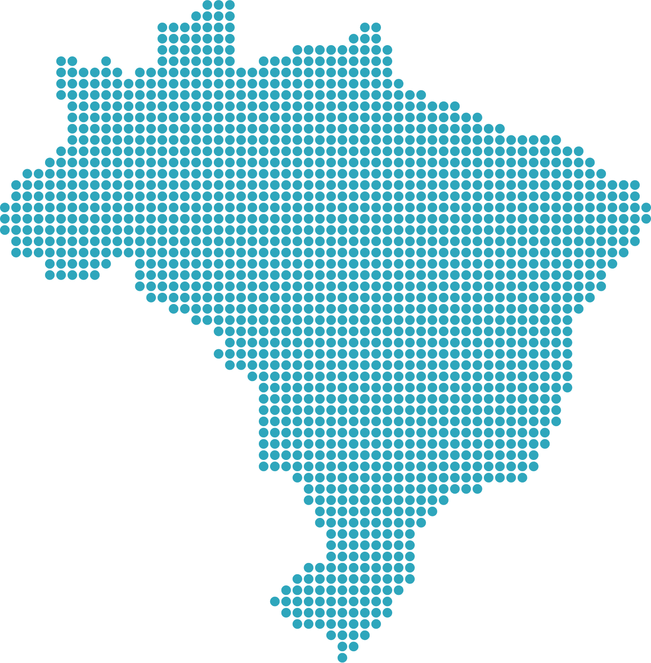 Conheça Toda a Equipe