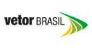 Logo Colorida Vetor Brasil
